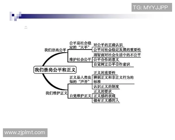以人权为核心推进社会公平与正义的全球行动路径探讨
