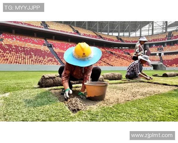 重庆极限运动队在世界杯中的精彩表现与实力分析